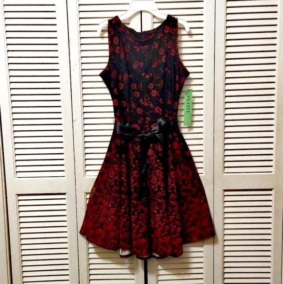 Haani Dresses & Skirts - HAANI Dress (Petite XL)